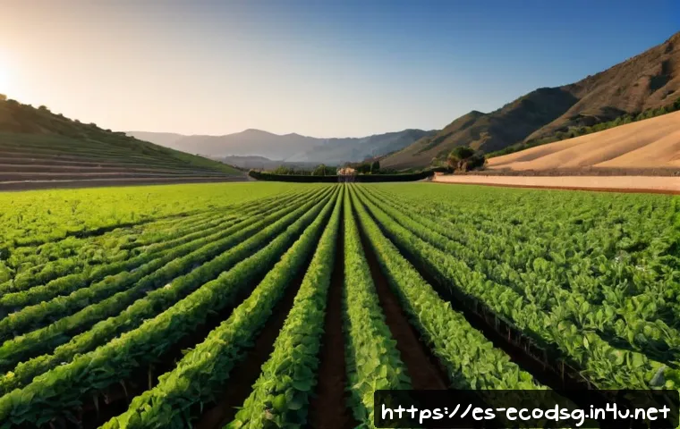 Canales de YouTube para aprender ecodiseño: cómo elegir contenidos útiles para proyectos y negocios 4 에코디자인 관련 유튜브 채널 추천 관련 이미지 2